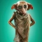 Dobby