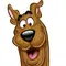 Scooby Doo