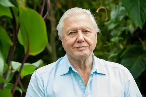 David Attenborough