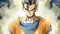 Gohan(Japanese)