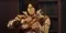 Trevor Belmont